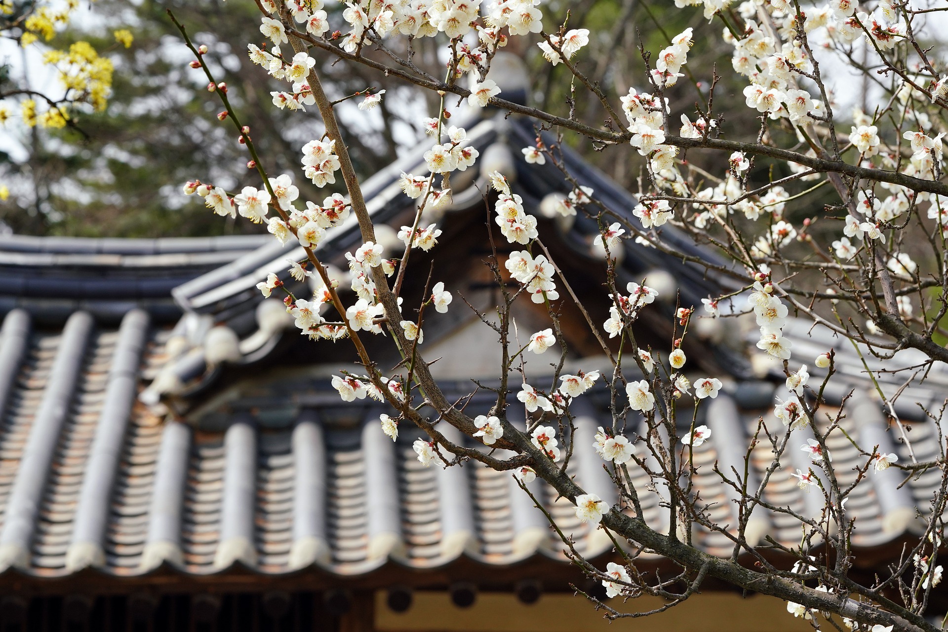 봄 대청소 체크리스트: 한 번에 끝내는 순서와 공간별 핵심 포인트